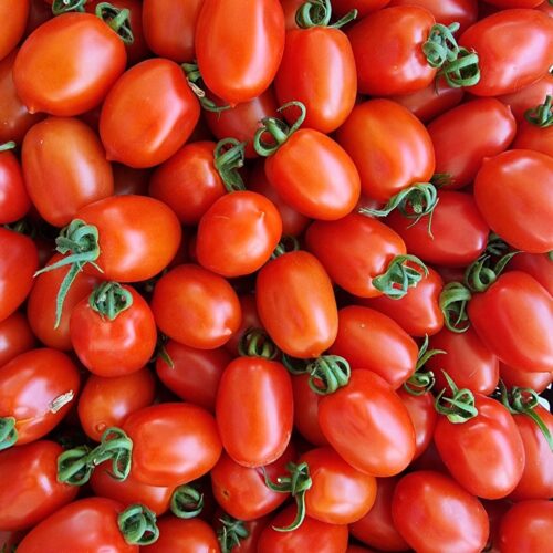 Pomodoro Ovale Colibrì