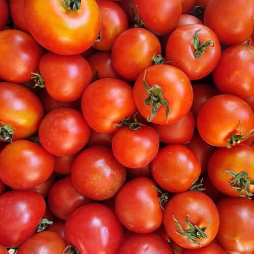 Pomodoro Camone Tondo 🍅